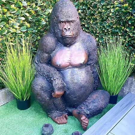 A Zen Konukevi